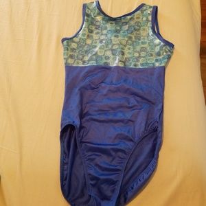 Blue leotard